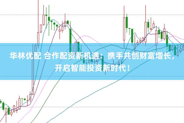 华林优配 合作配资新机遇：携手共创财富增长，开启智能投资新时代！