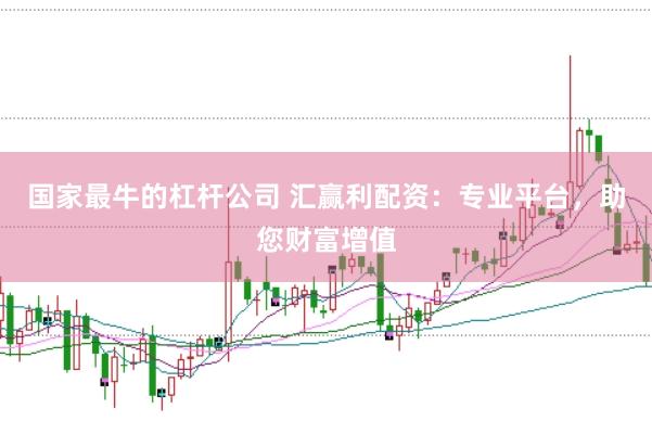 国家最牛的杠杆公司 汇赢利配资：专业平台，助您财富增值