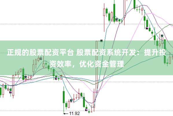 正规的股票配资平台 股票配资系统开发：提升投资效率，优化资金管理