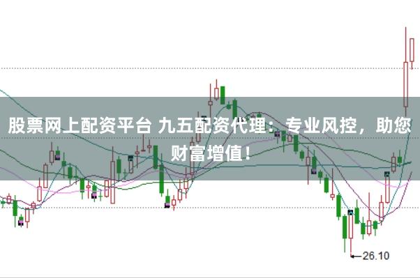 股票网上配资平台 九五配资代理：专业风控，助您财富增值！