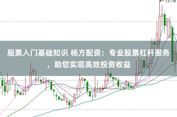 股票入门基础知识 杨方配资：专业股票杠杆服务，助您实现高效投资收益