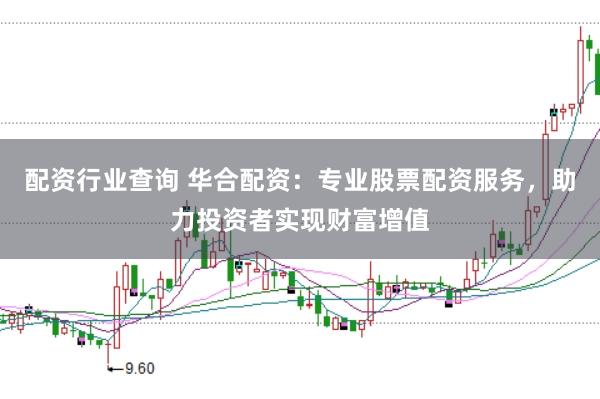 配资行业查询 华合配资：专业股票配资服务，助力投资者实现财富增值
