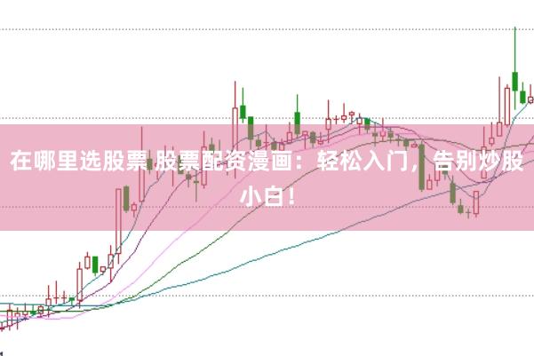 在哪里选股票 股票配资漫画：轻松入门，告别炒股小白！
