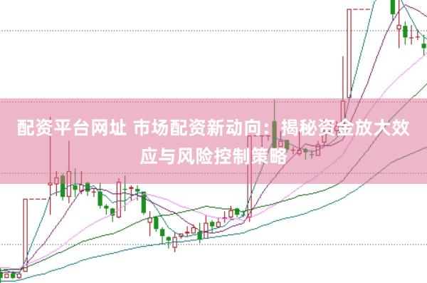配资平台网址 市场配资新动向：揭秘资金放大效应与风险控制策略