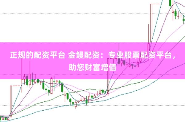 正规的配资平台 金鳗配资：专业股票配资平台，助您财富增值